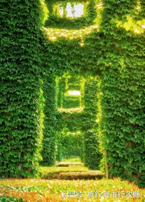 从上海去四川旅游5天4晚大概多少钱这篇省钱攻略一定要看(图3)