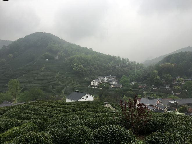 九游娱乐官方网站杭州3天研学旅行行程方案：文化体验+游览路线预算规划避坑指南(图2)