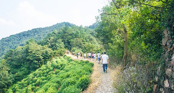 九游娱乐官方网站杭州3天研学旅行行程方案：文化体验+游览路线预算规划避坑指南(图4)