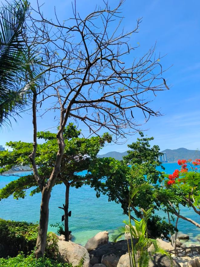 越南5天4晚精华旅游路线天游玩攻略与线路指南推荐收藏(图3)