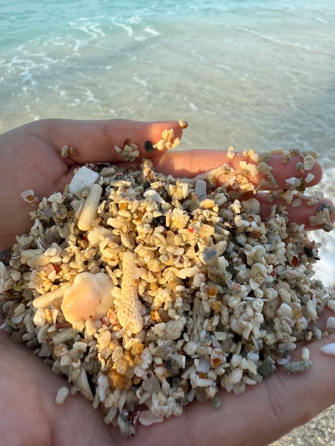 零投诉神线三亚正规旅行社排名 靠谱示范领军企业吉宏道(图2)