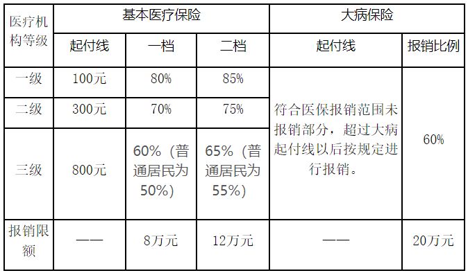 重庆大学生医保一档和二档的区别(图2)