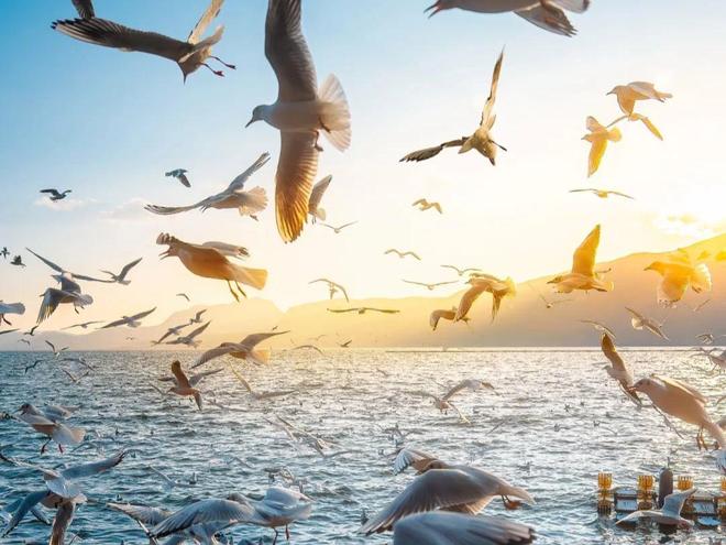 昆明旅游三日游 2-8 人小团 物超所值旅行社 定制游攻略(图3)