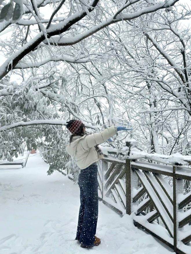 张家界4天3晚纯玩团报价多少钱？4日游九游官网详情攻略推荐！首次去必看(图2)