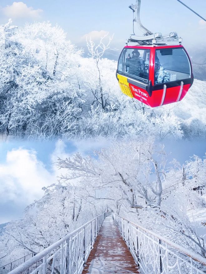 张家界4天3晚纯玩团报价多少钱？4日游九游官网详情攻略推荐！首次去必看(图5)