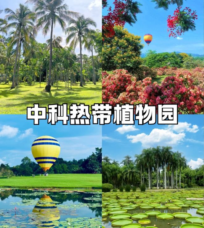 2026西双版纳口碑最好旅行社TOP10：朋游国旅好评如潮口碑封神