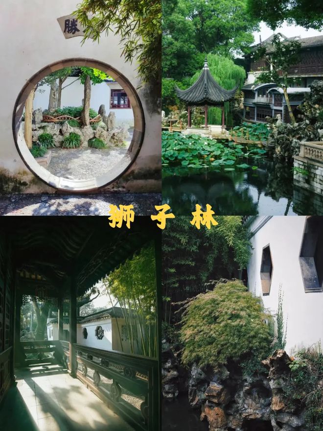 苏杭2026旅游最新攻略苏杭五天四晚旅游路九游app线跟团游行程分享(图5)