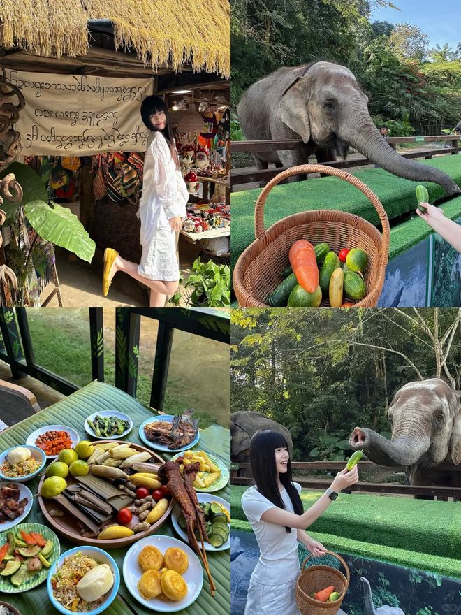 西双版纳3天2晚纯玩团价格多少钱带你解锁西双版纳的浪漫风情(图4)