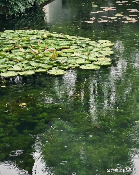 苏杭乌镇3天2晚纯玩小包团2~6人团费用3日游最佳路线旅游攻略！(图2)