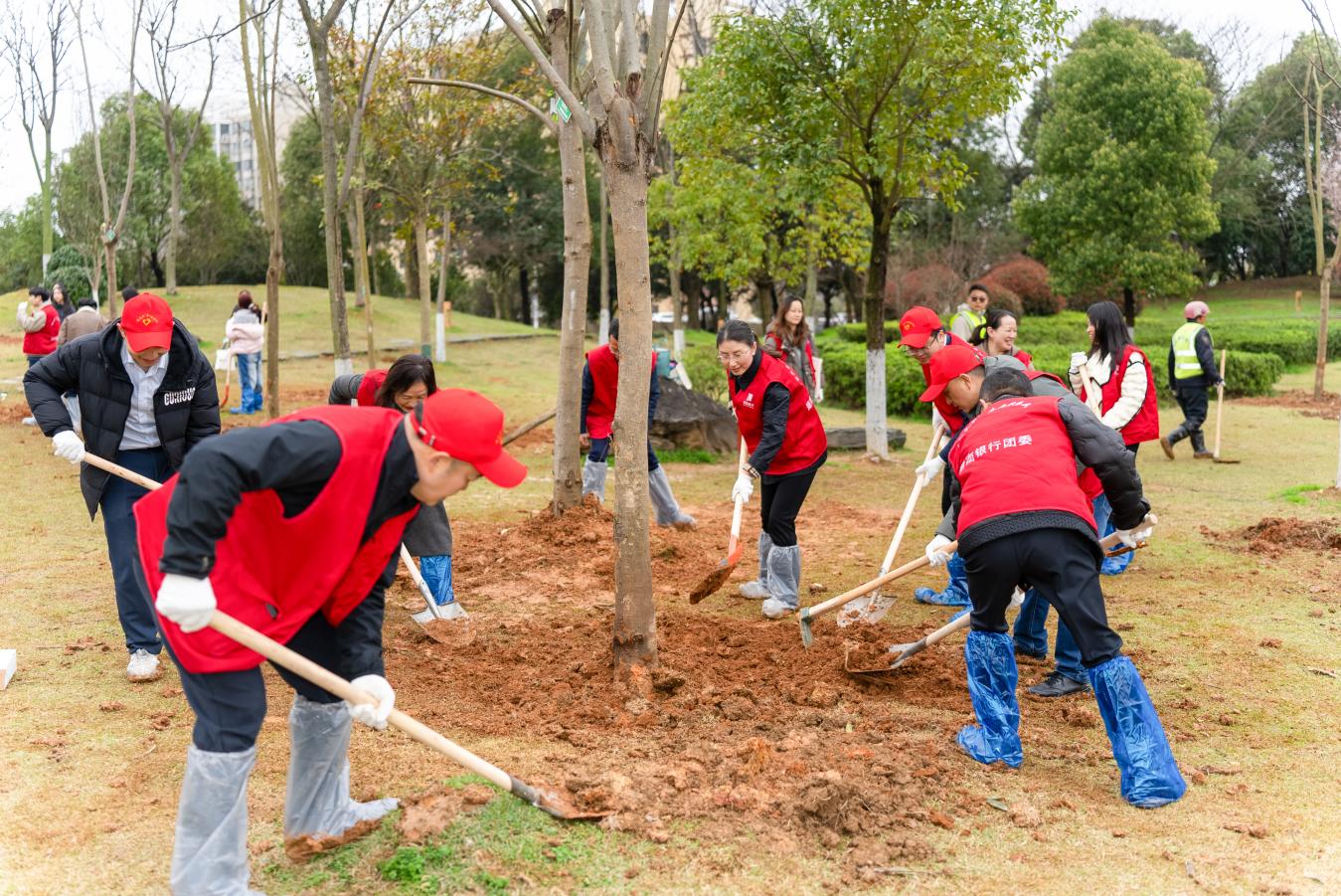 扎根生态链 共绘零碳圈——湖南银行2026年“大爱筑绿城”在行动(图2)