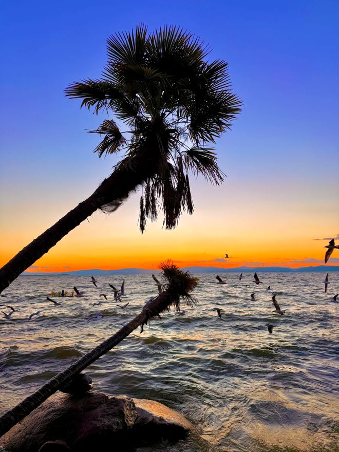 大理旅游团报价5日游性价比之选 + 攻略在九游官网手 +品质出行省钱又尽兴(图2)