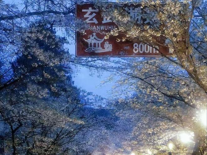 九游娱乐官方网站南京正规旅行社排名TOP榜：十家口碑机构与出游优选参考出行无忧(图3)